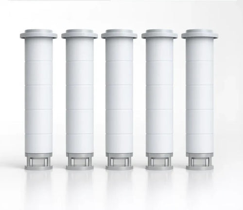 Confezione da 5 filtri di ricambio